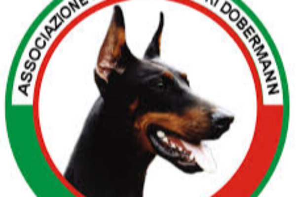 AIAD DCM prosjekt » Norsk Dobermann Klub